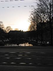 Tram tracks and golden sky