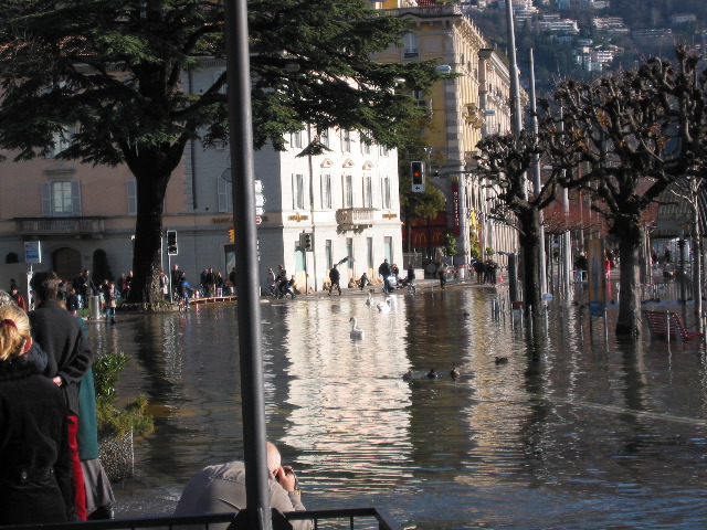 Street or Lake?