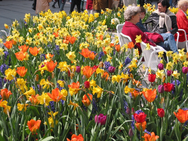 Munich in bloom