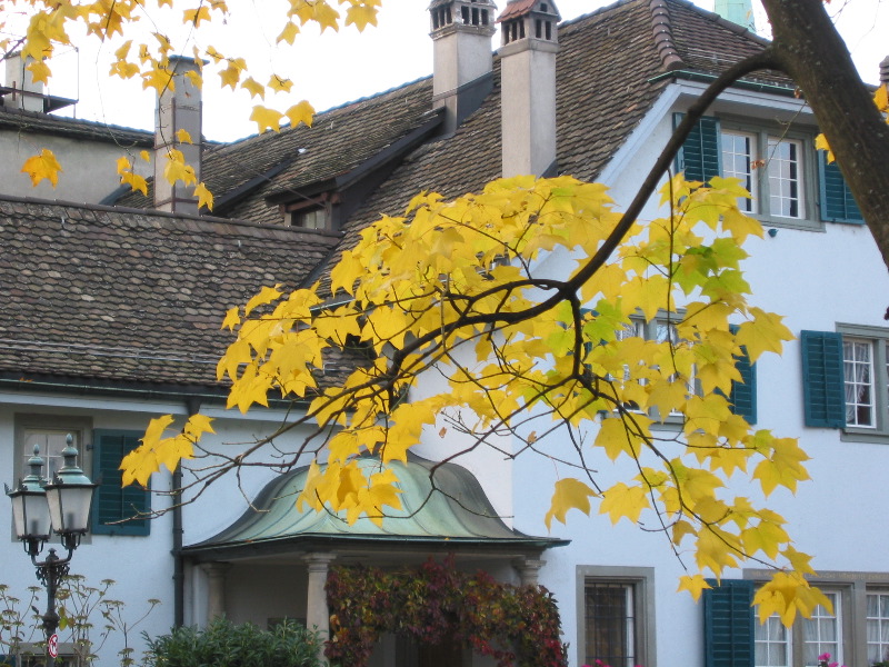 House at Saint Peters