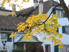 House at Saint Peters