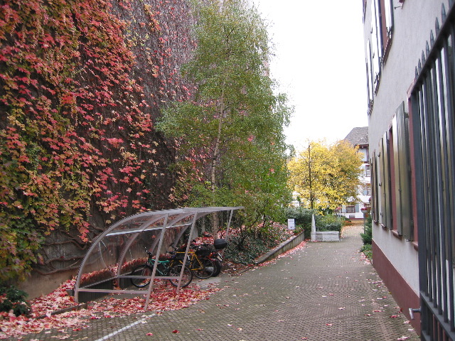 Schafgasse (street) 1