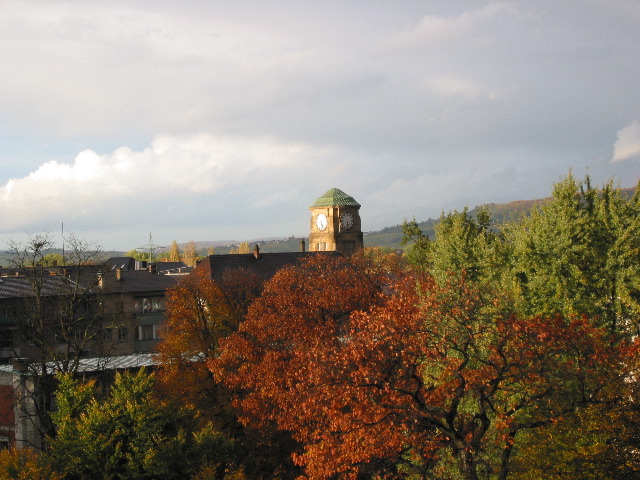 Fall from Jon's school
