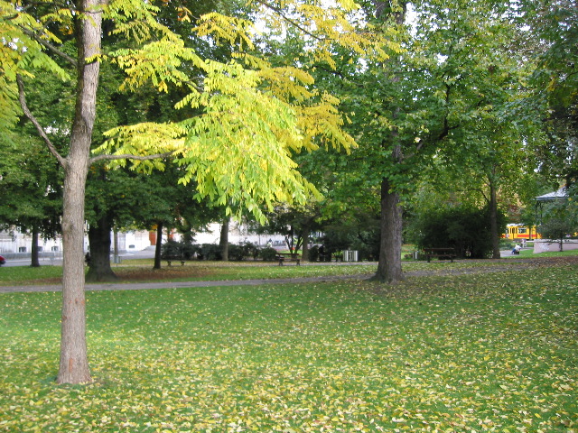 Park near train station