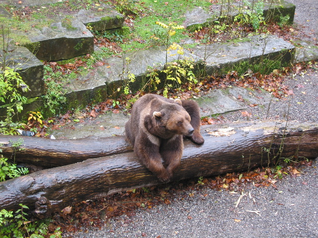 B&auml;rengraben (bear pits) 1