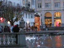 Nice shops and swans