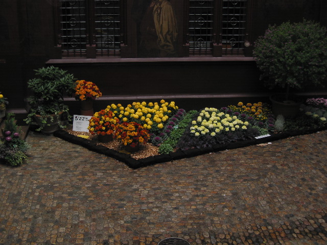 Fall flower display